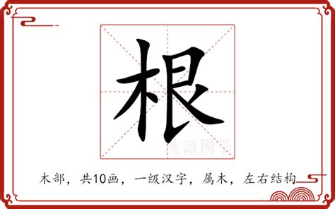 根意思|根（汉语文字）